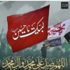 772713221_2140247963558103_7277979481495660384_n.png