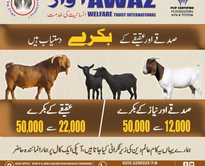 773531332_902831022900334_7915713694496051684_n.png